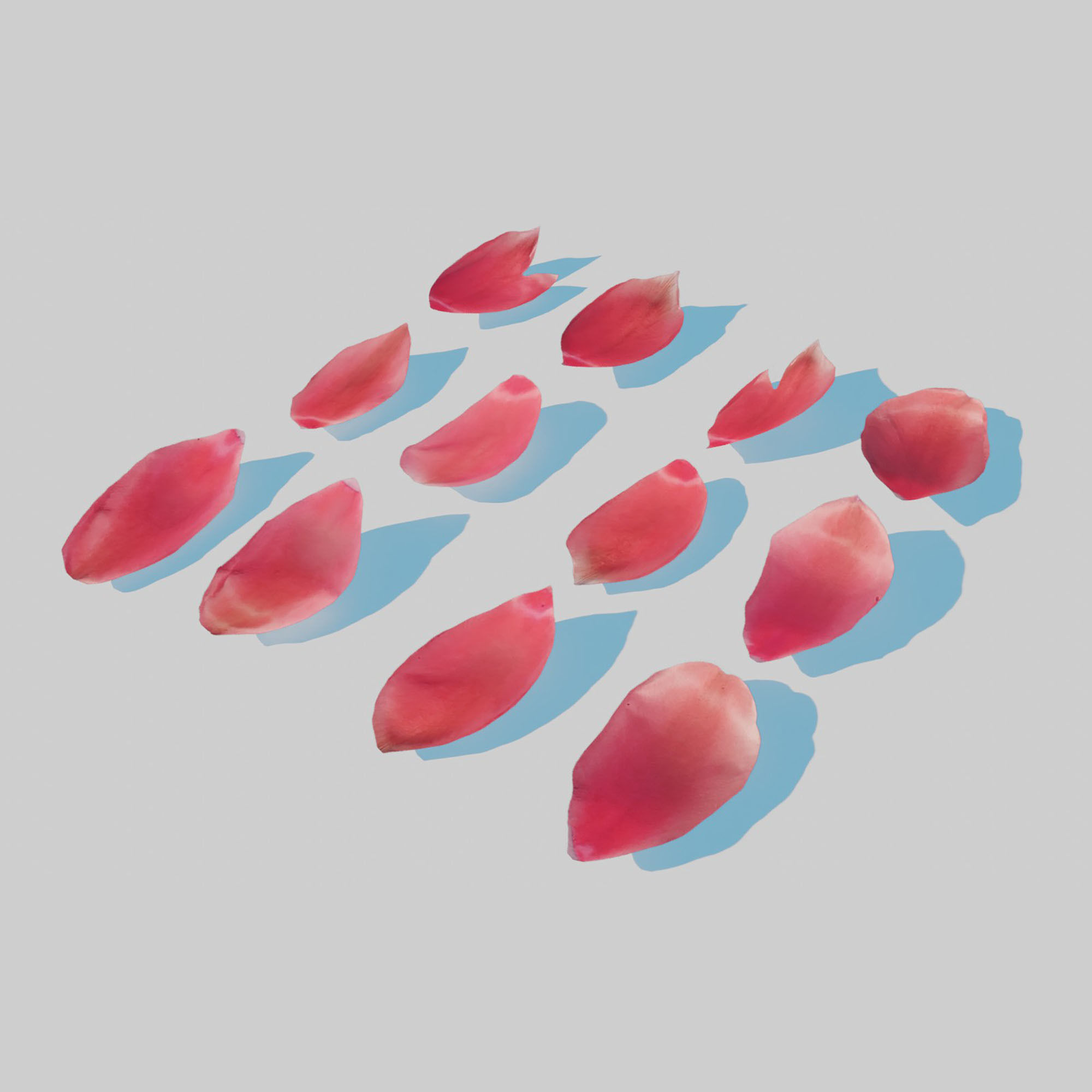 Red Tulip Petals Low-poly 3D model_1