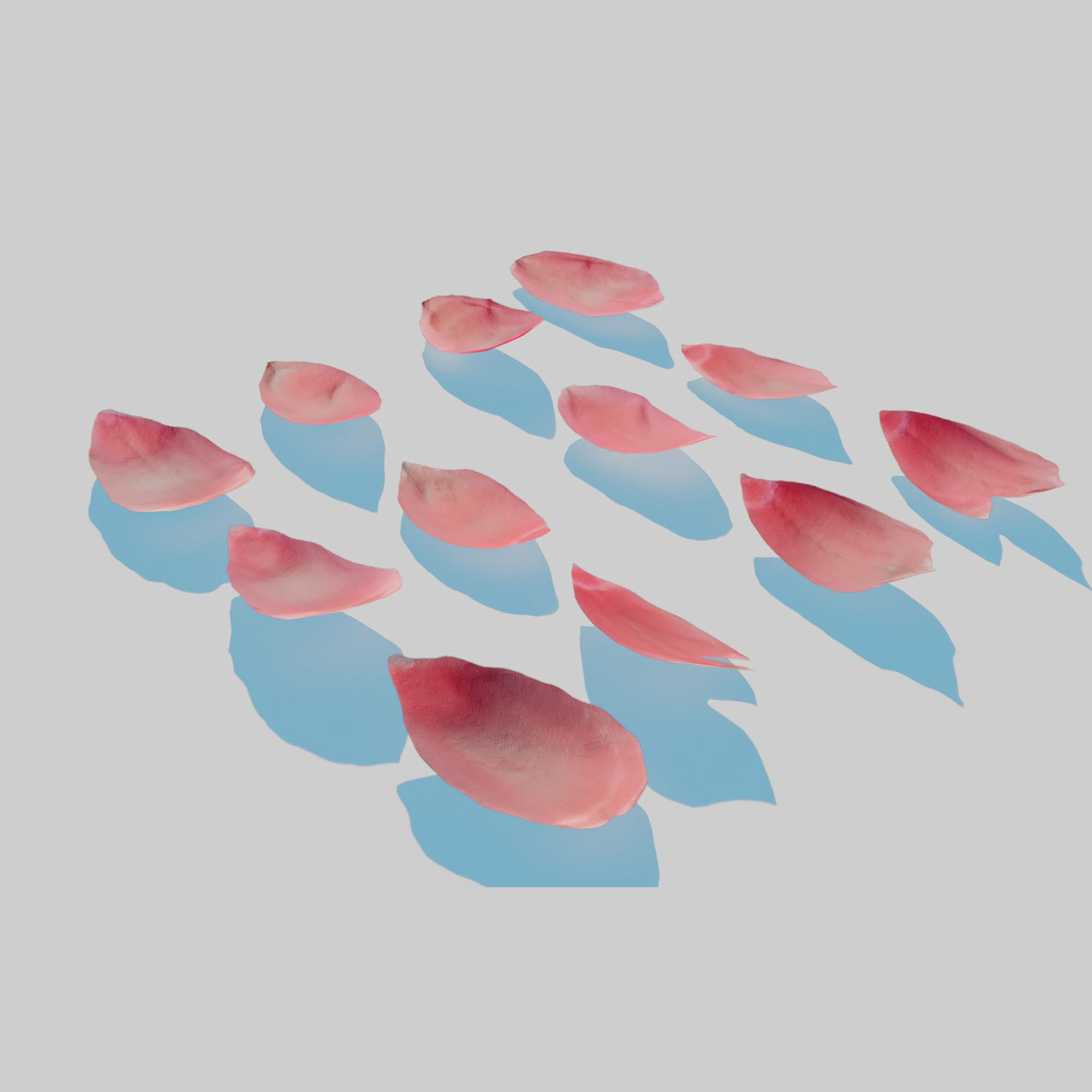 Red Tulip Petals Low-poly 3D model_3