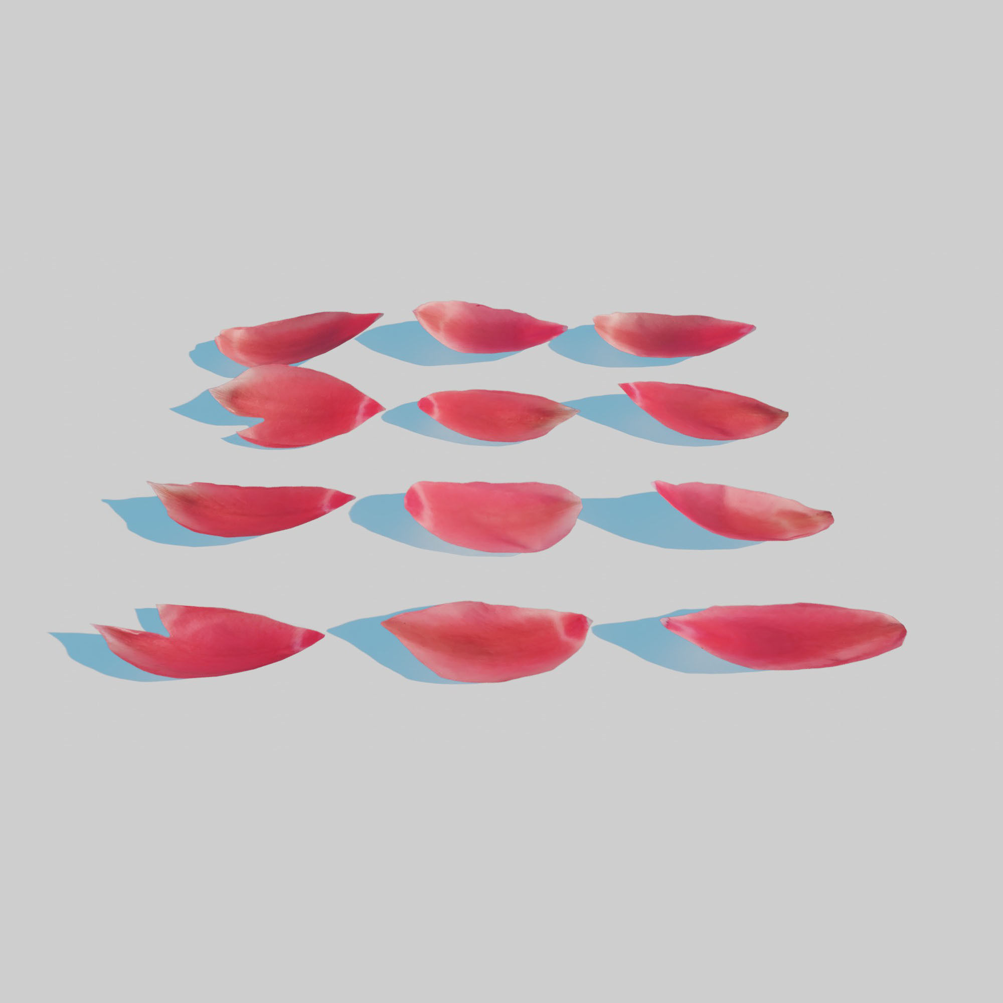 Red Tulip Petals Low-poly 3D model_6