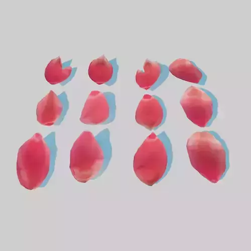 Red Tulip Petals Low-poly 3D model
