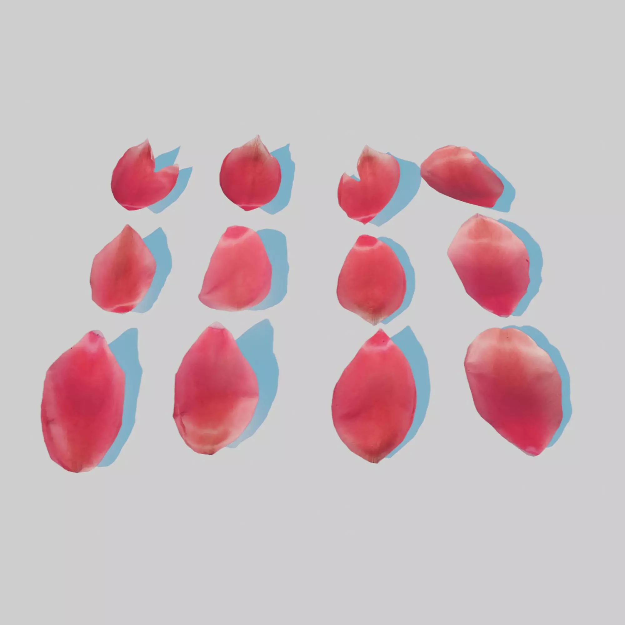 Red Tulip Petals Low-poly 3D model_0