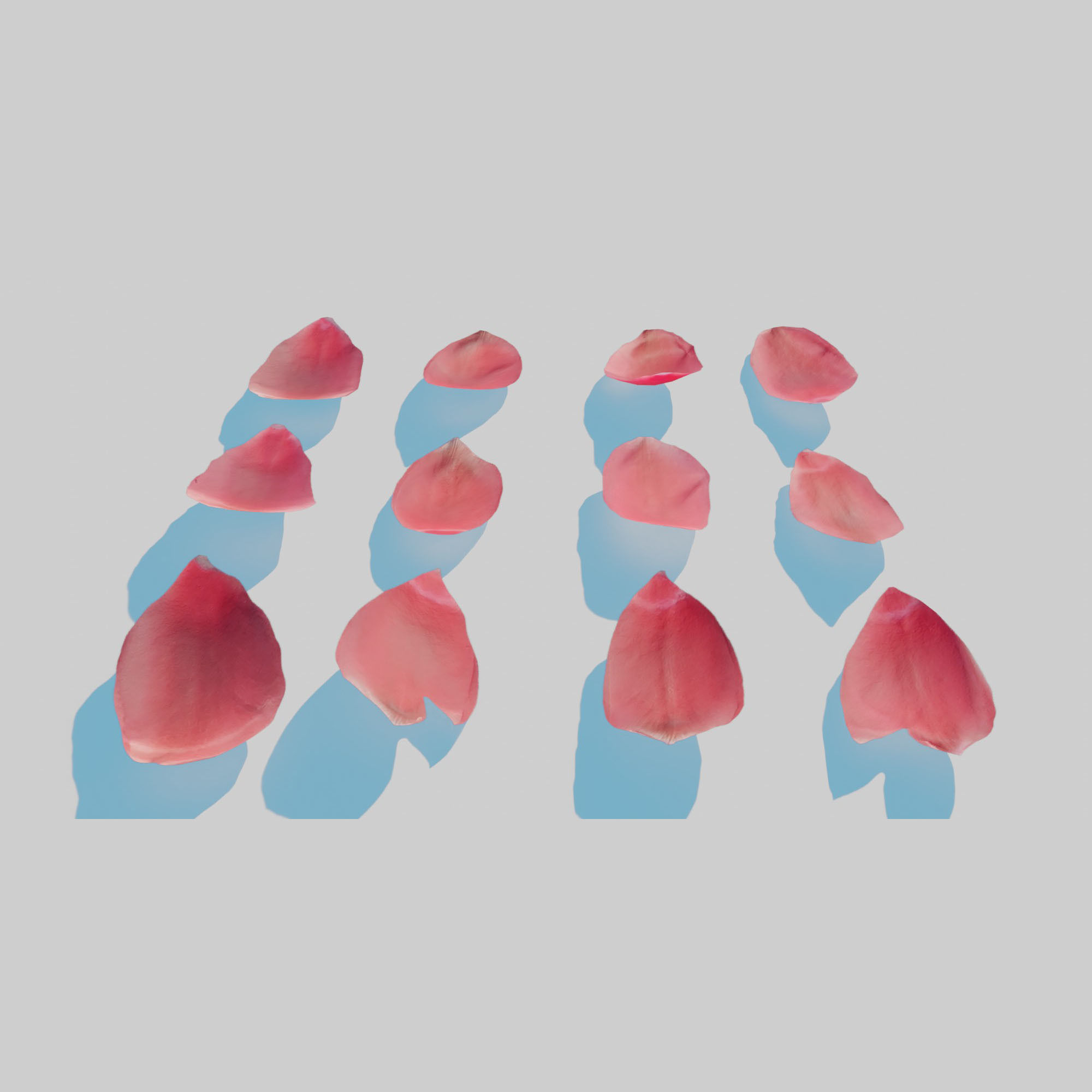 Red Tulip Petals Low-poly 3D model_4