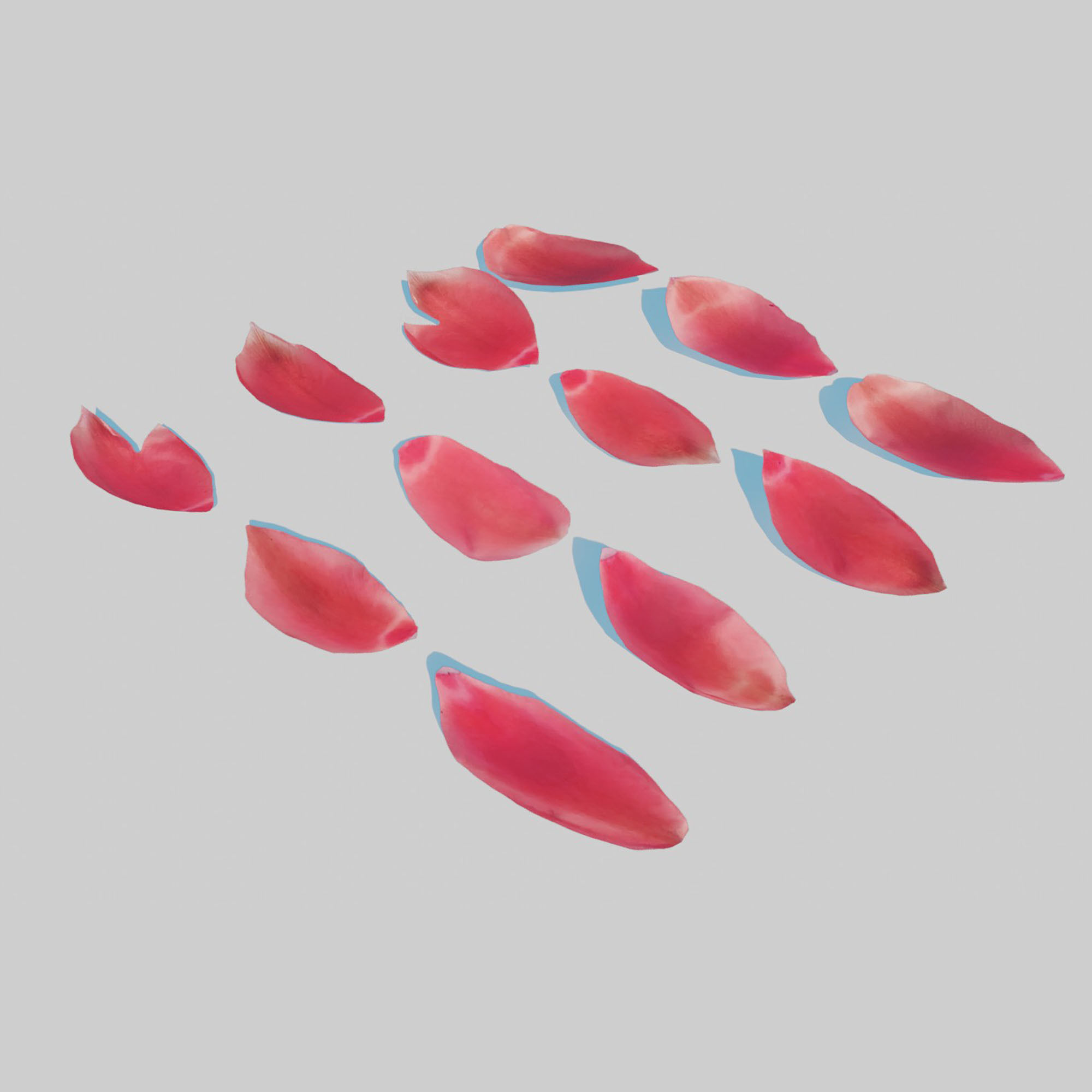 Red Tulip Petals Low-poly 3D model_7