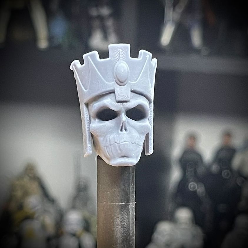 First Skeletor Mark Taylor 3D model_6