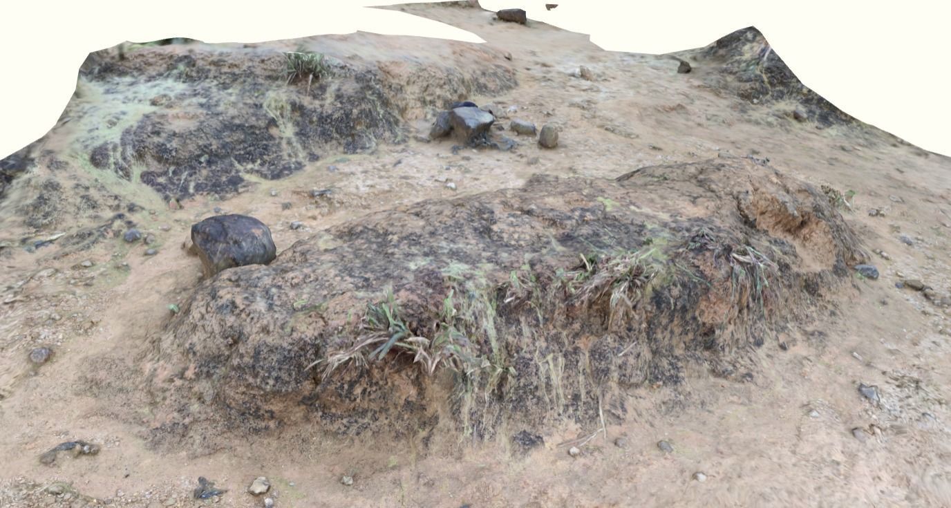 Ground 3d scan 3D model_1