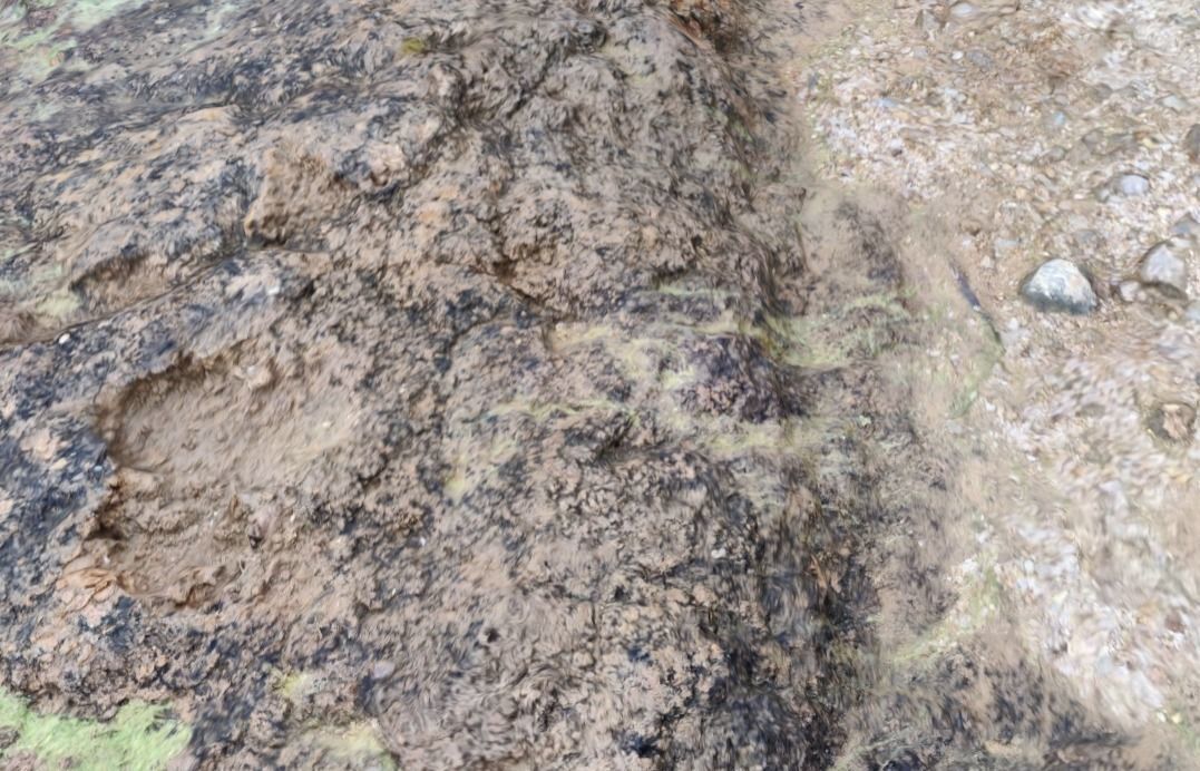 Ground 3d scan 3D model_5