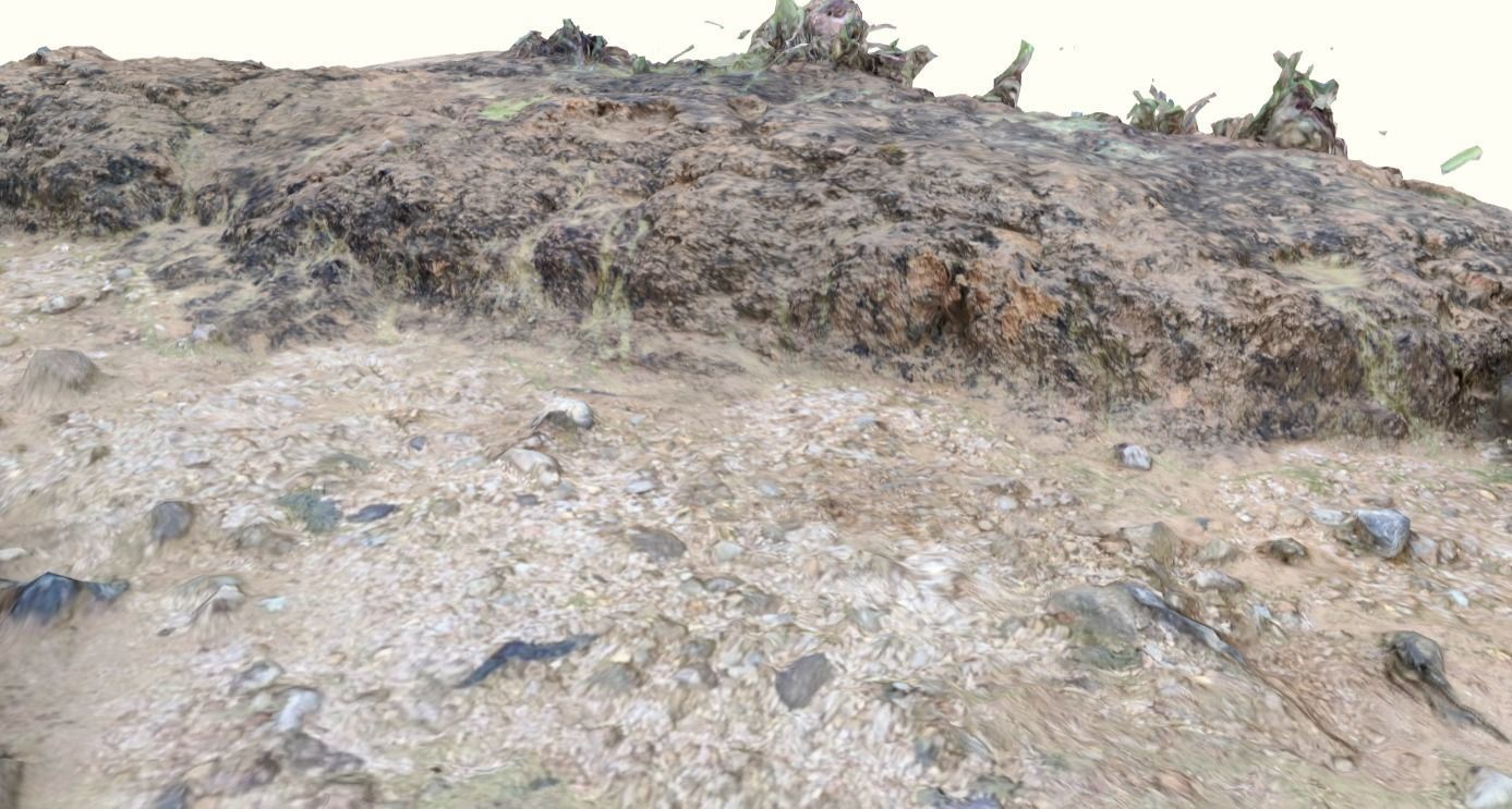 Ground 3d scan 3D model_4