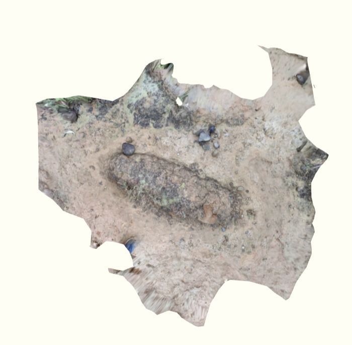 Ground 3d scan 3D model_6