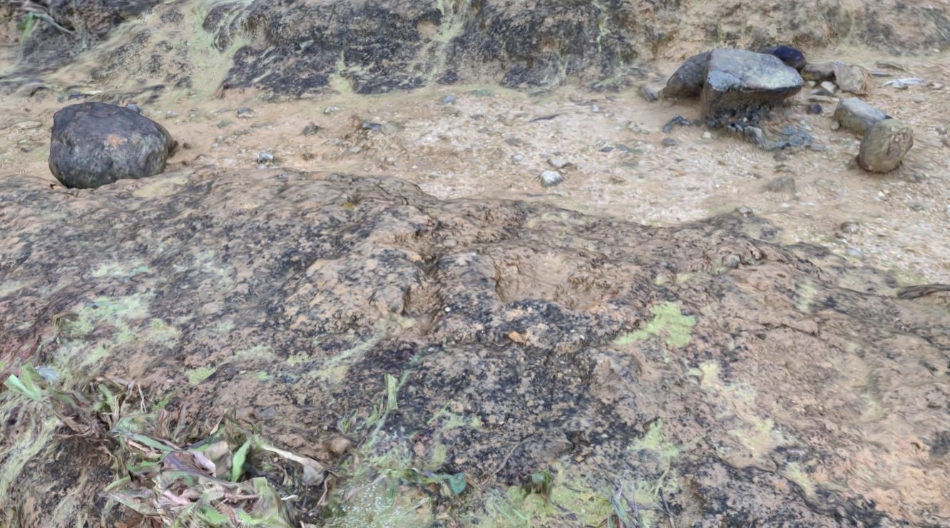 Ground 3d scan 3D model_7