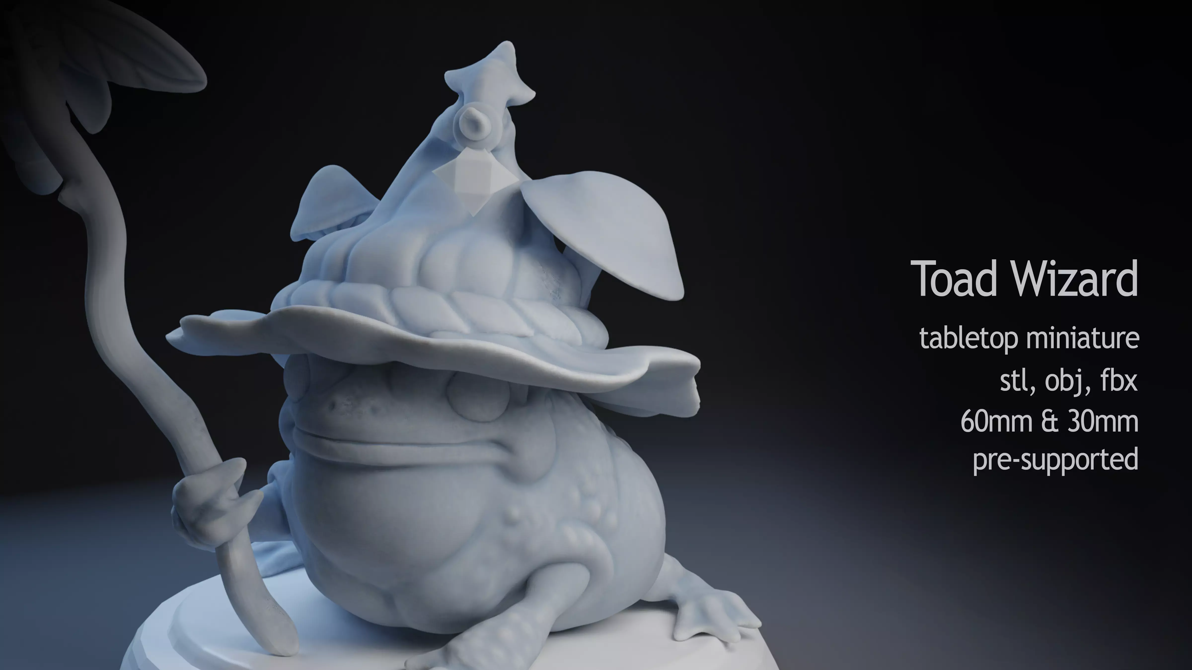 Toad Wizard 3D print model