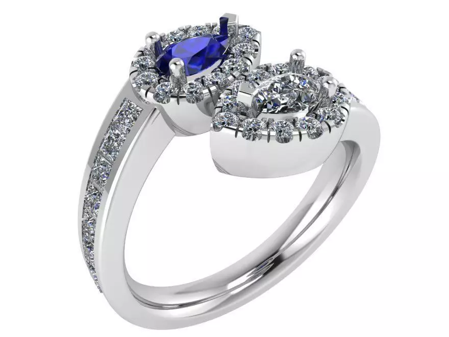 Shedding tear ring 2681 3D print model 3D print model_0