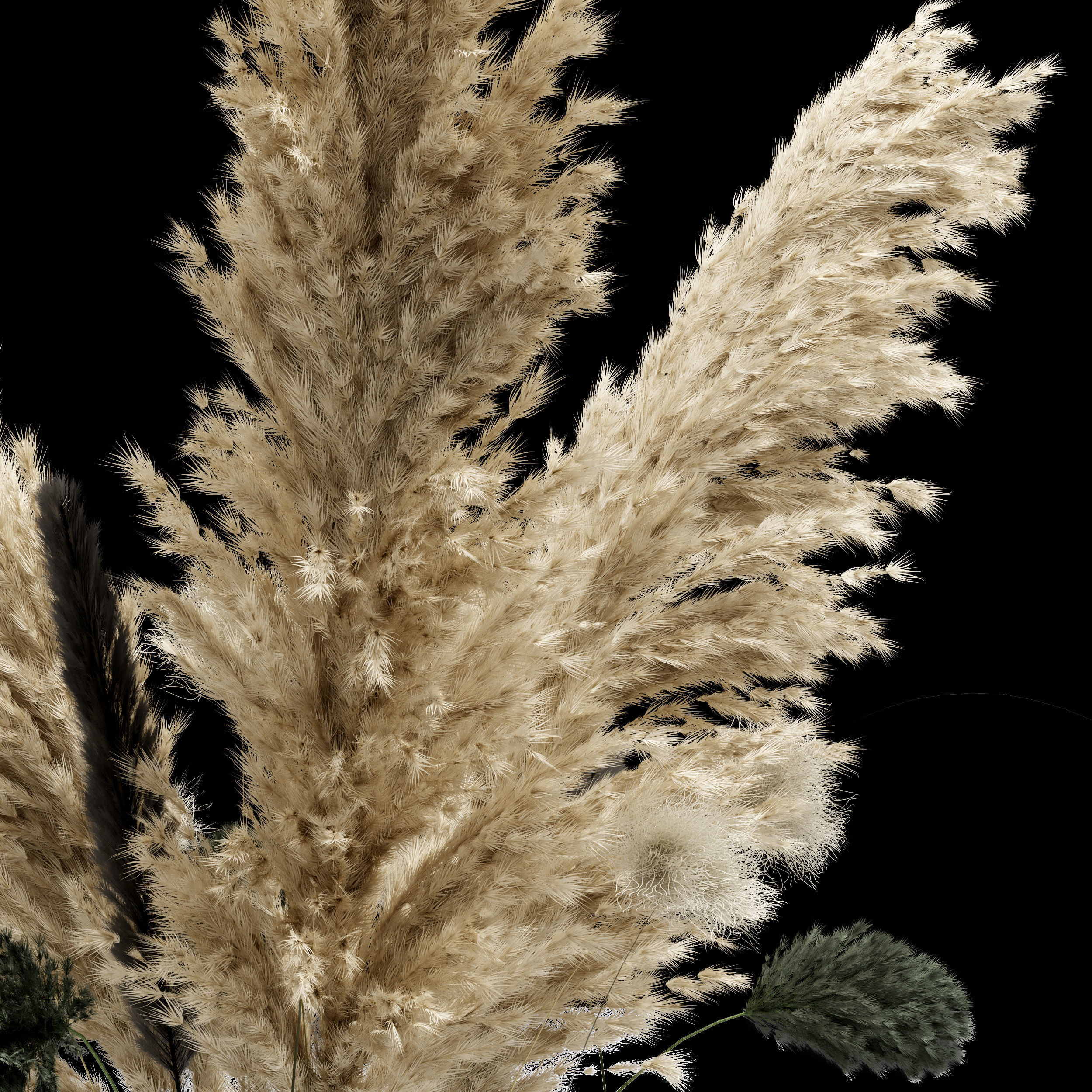  Bouquet04 dry pampas and grass 3D model_4
