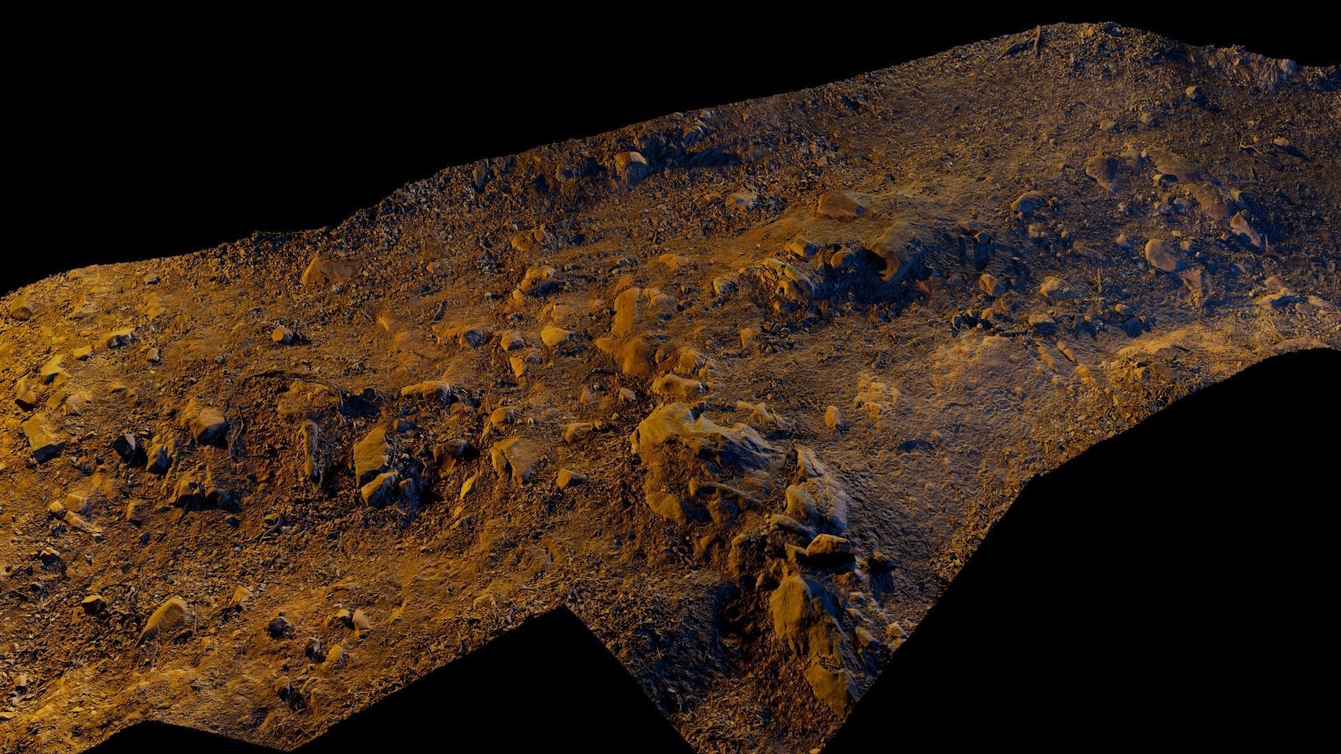 Forest Path 3D model_12