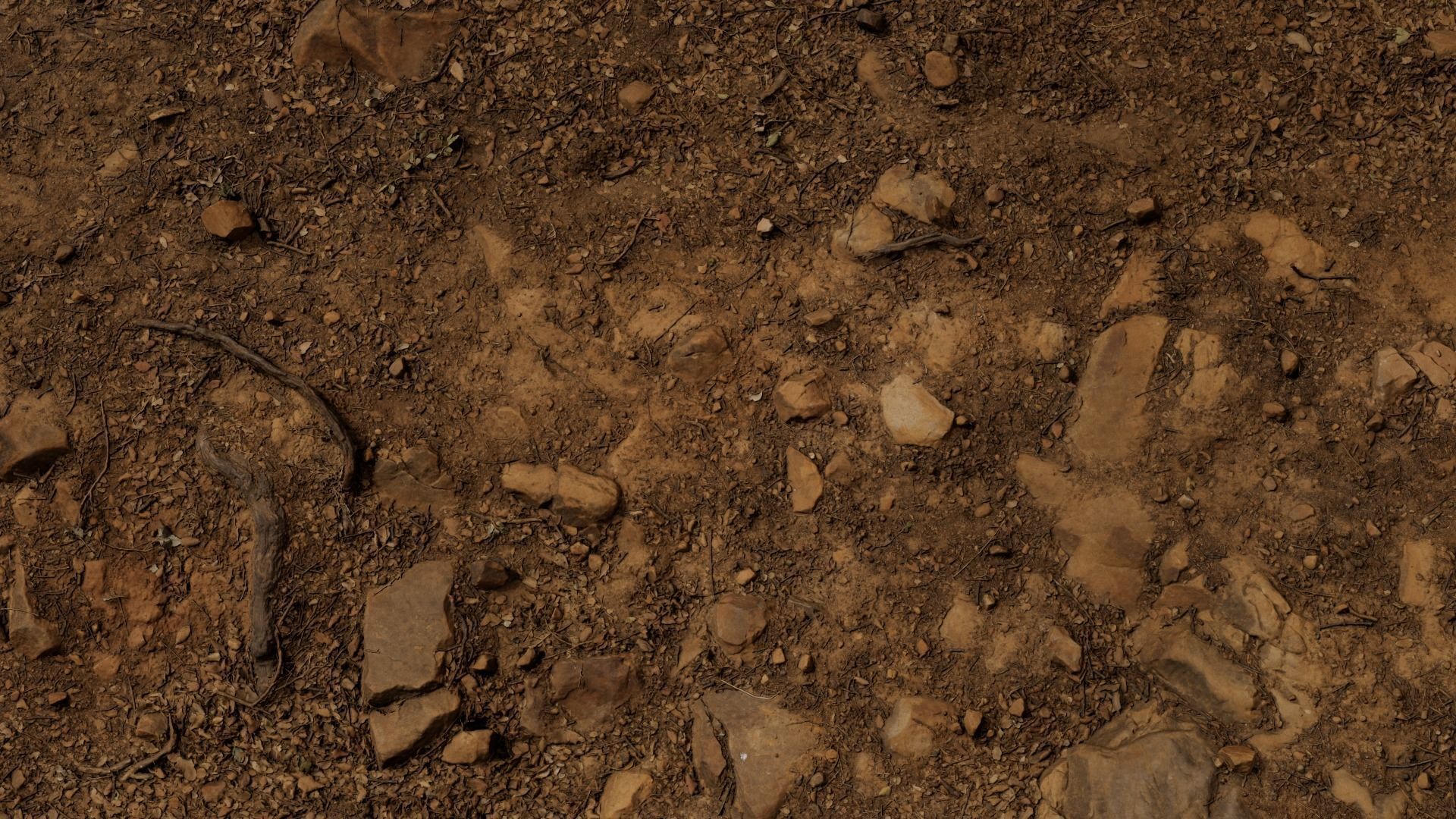 Forest Path 3D model_19