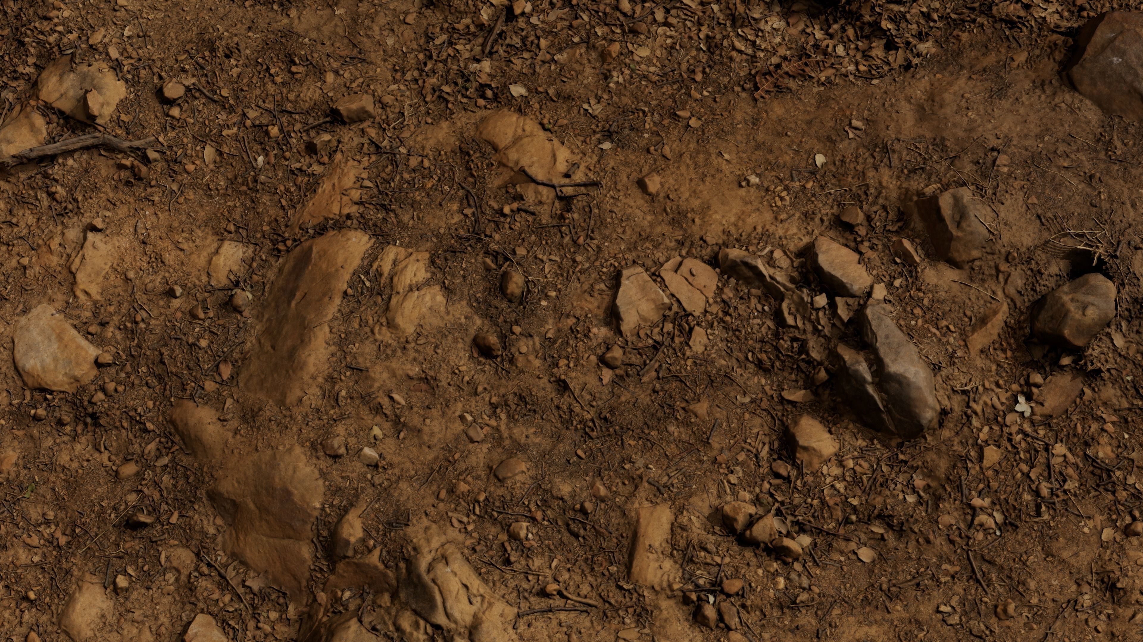 Forest Path 3D model_22