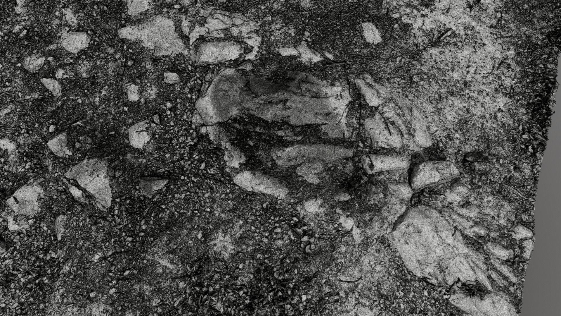 Forest Path 3D model_9