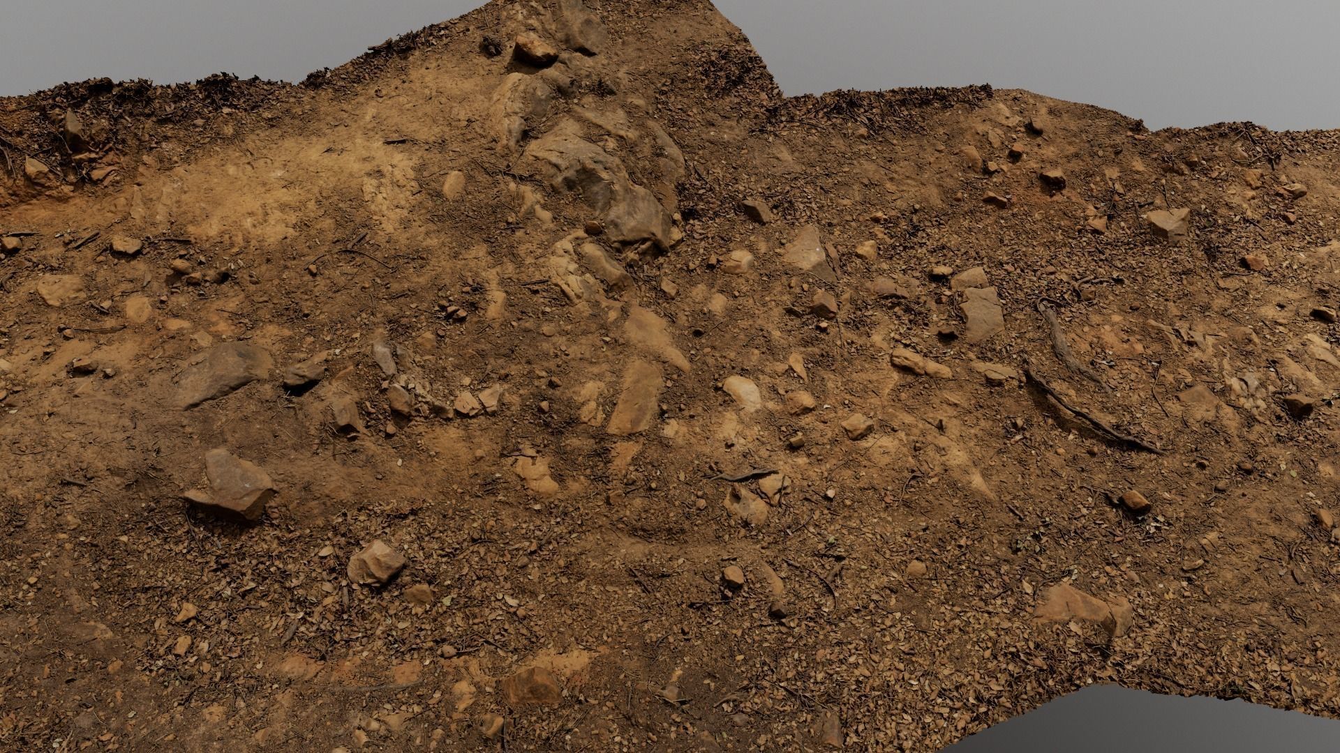 Forest Path 3D model_5