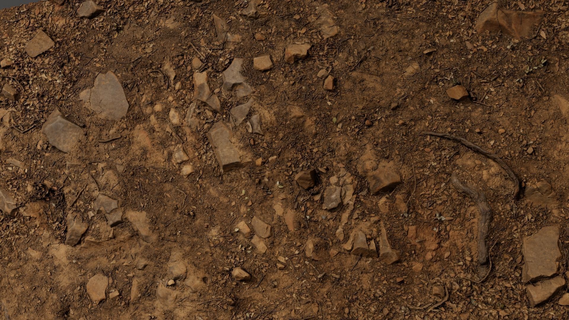 Forest Path 3D model_20