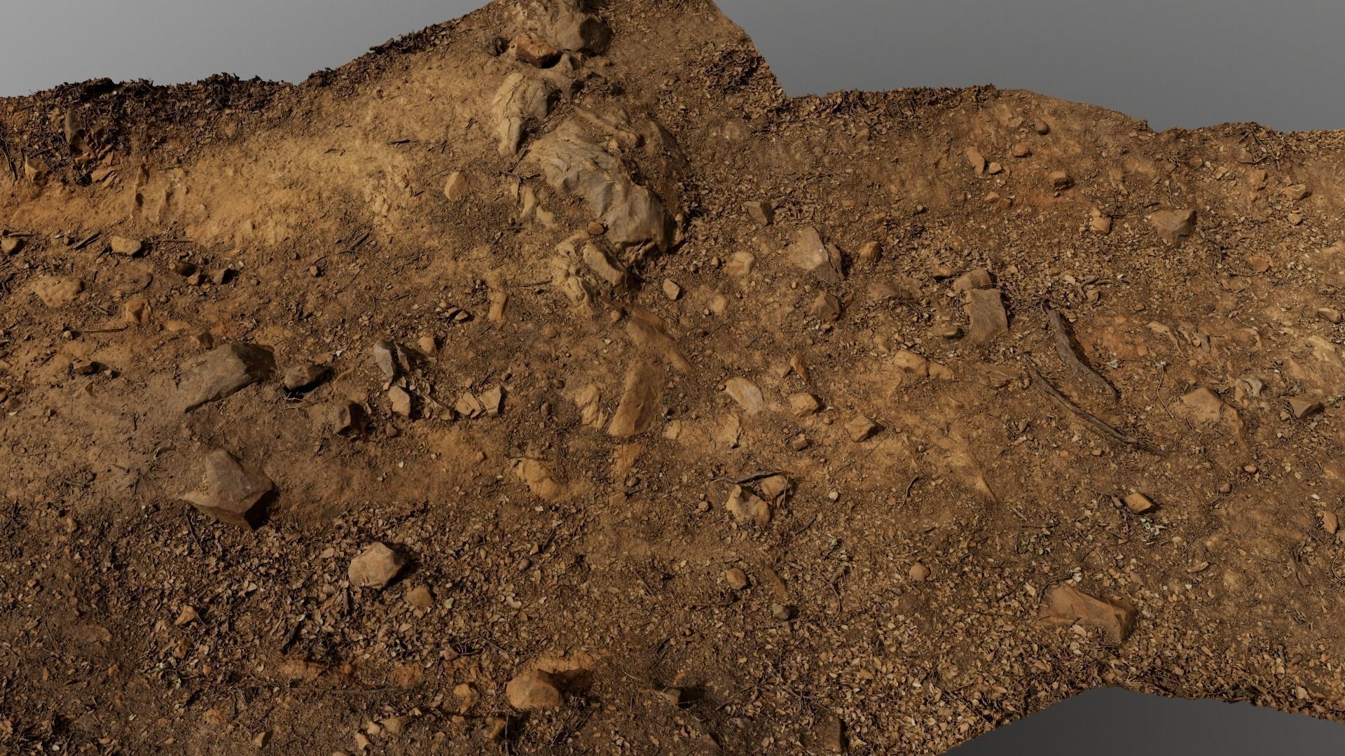 Forest Path 3D model_3