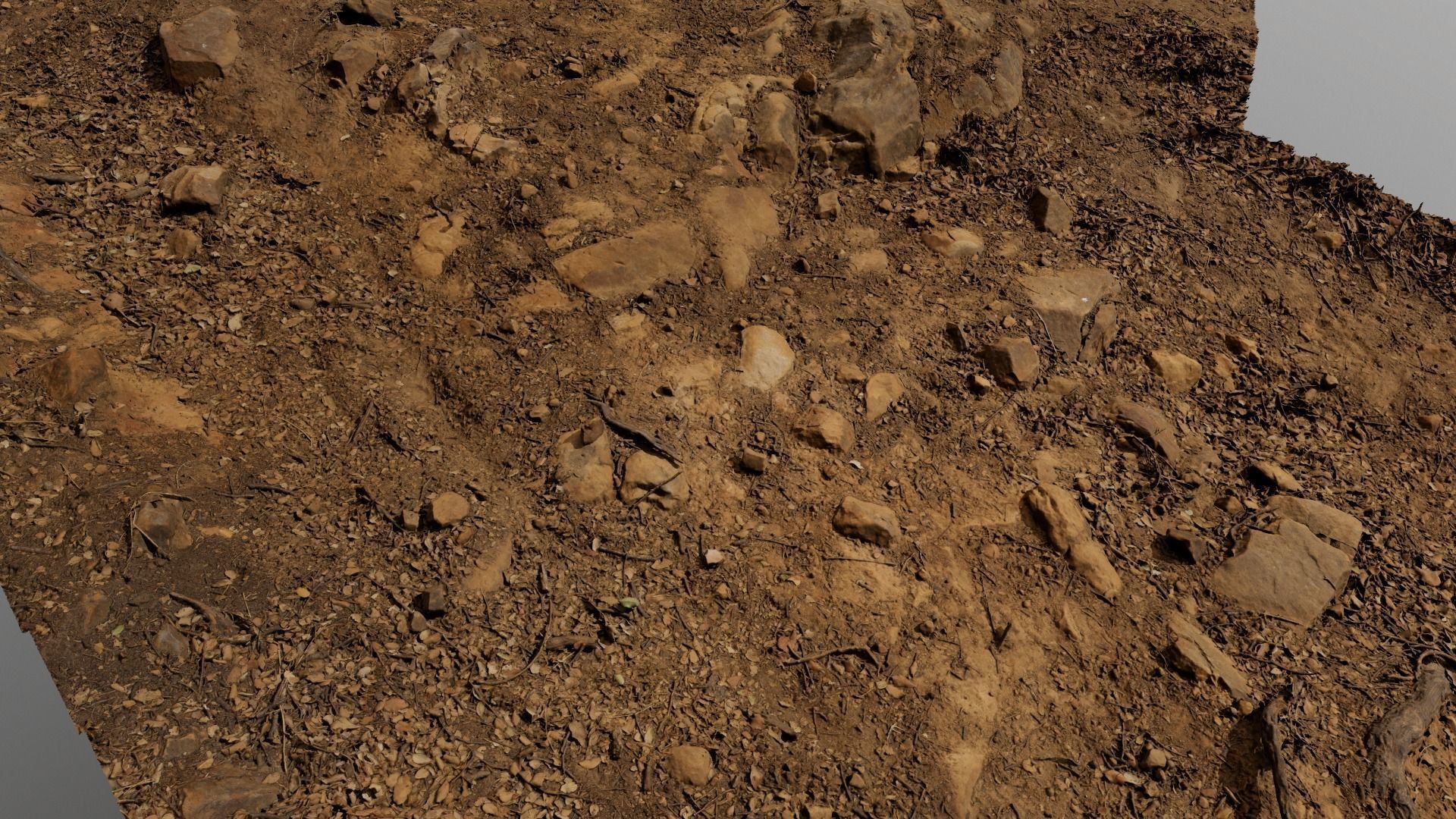 Forest Path 3D model_6