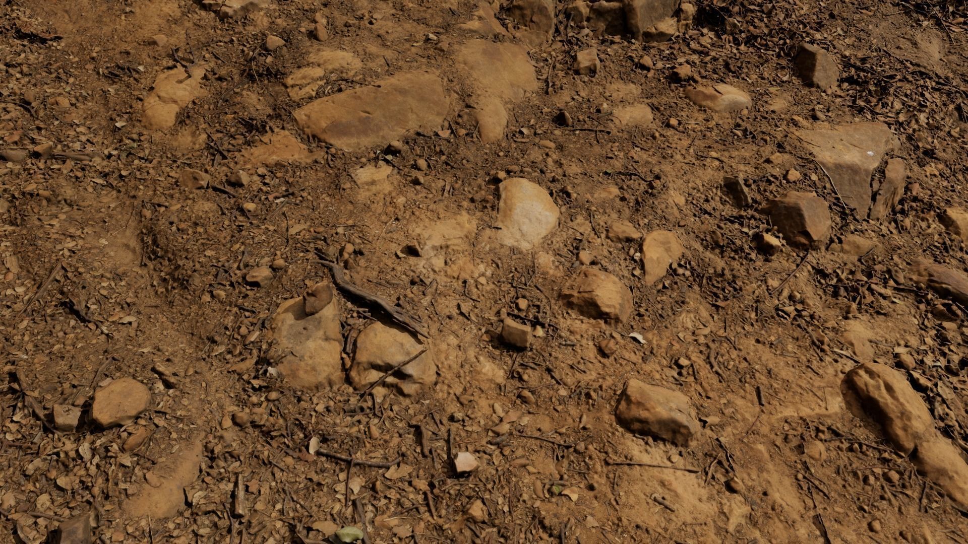 Forest Path 3D model_7