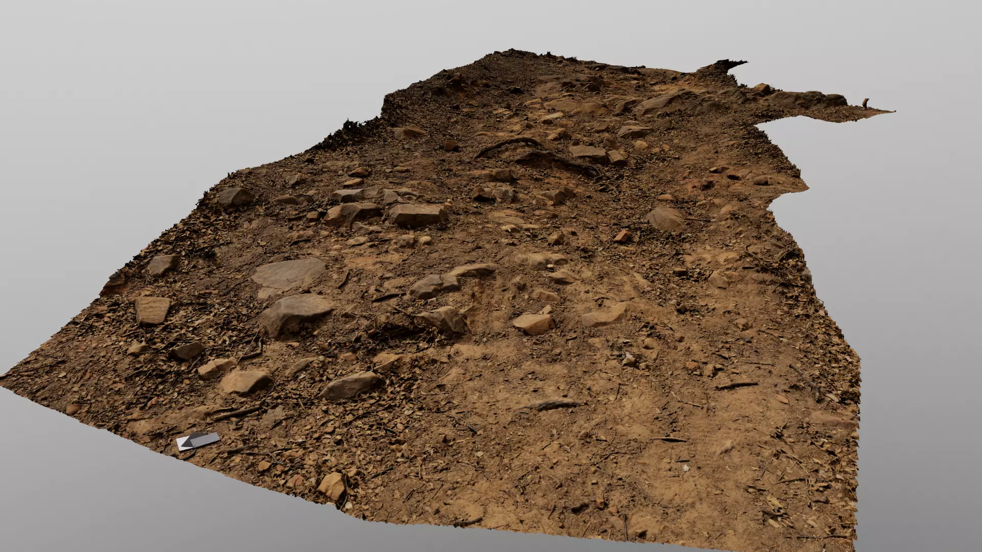 Forest Path 3D model_0