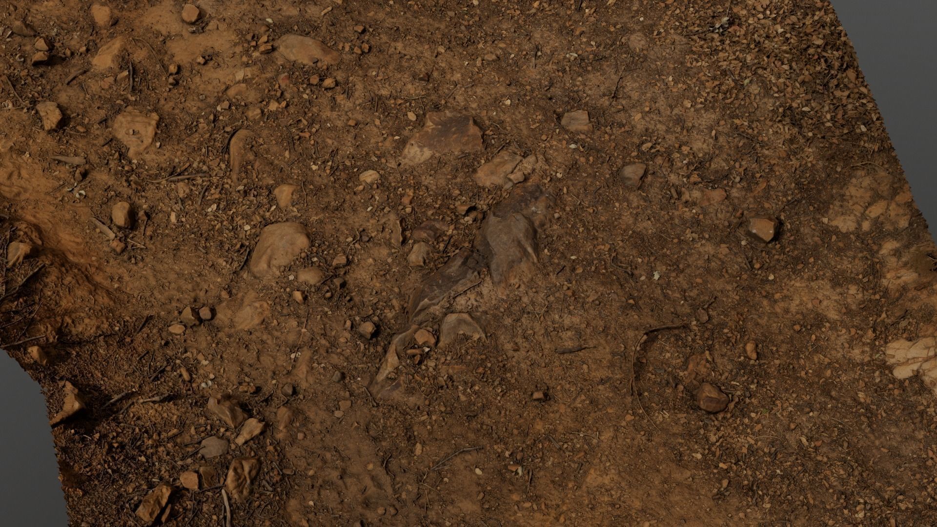 Forest Path 3D model_16