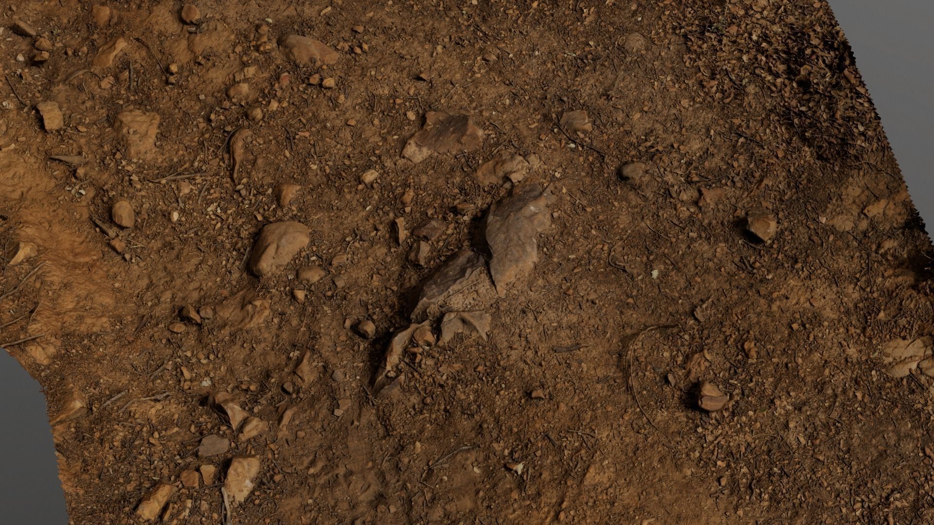 Forest Path 3D model_15