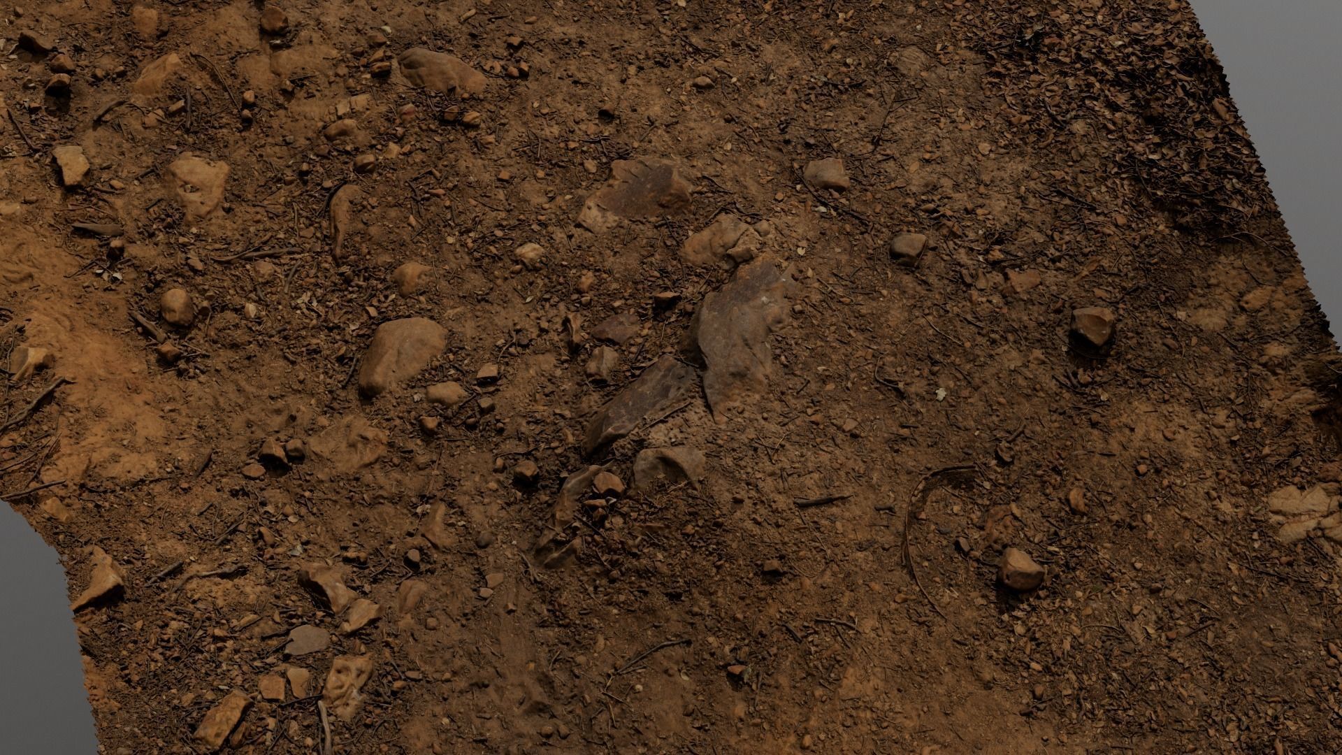 Forest Path 3D model_14