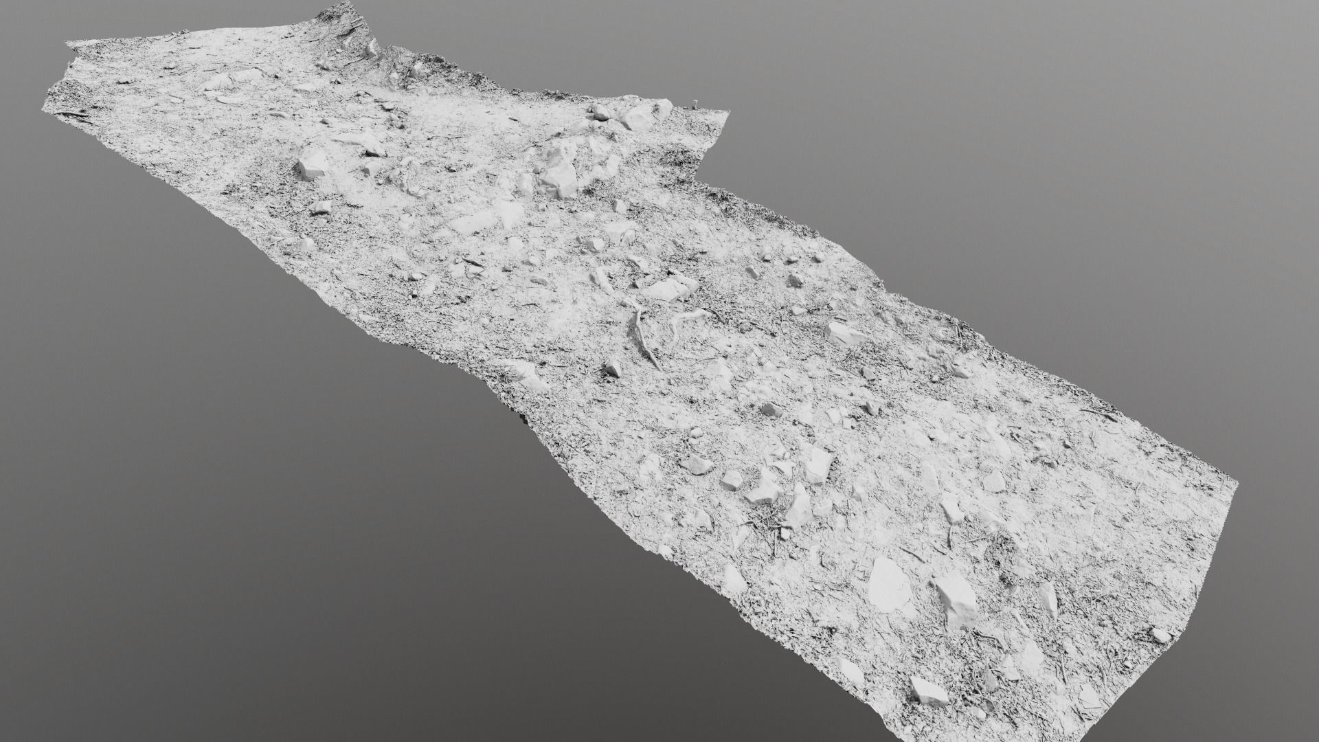 Forest Path 3D model_11