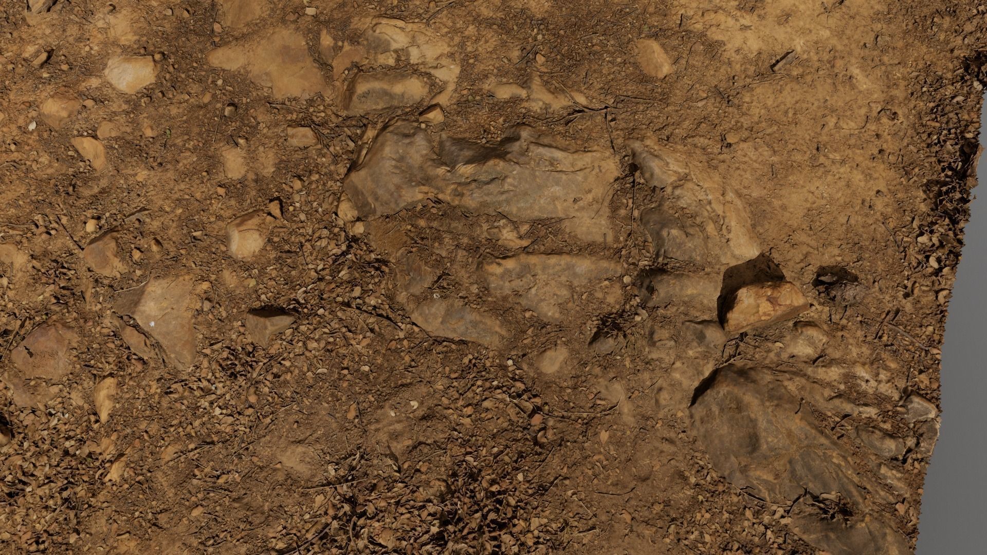 Forest Path 3D model_8