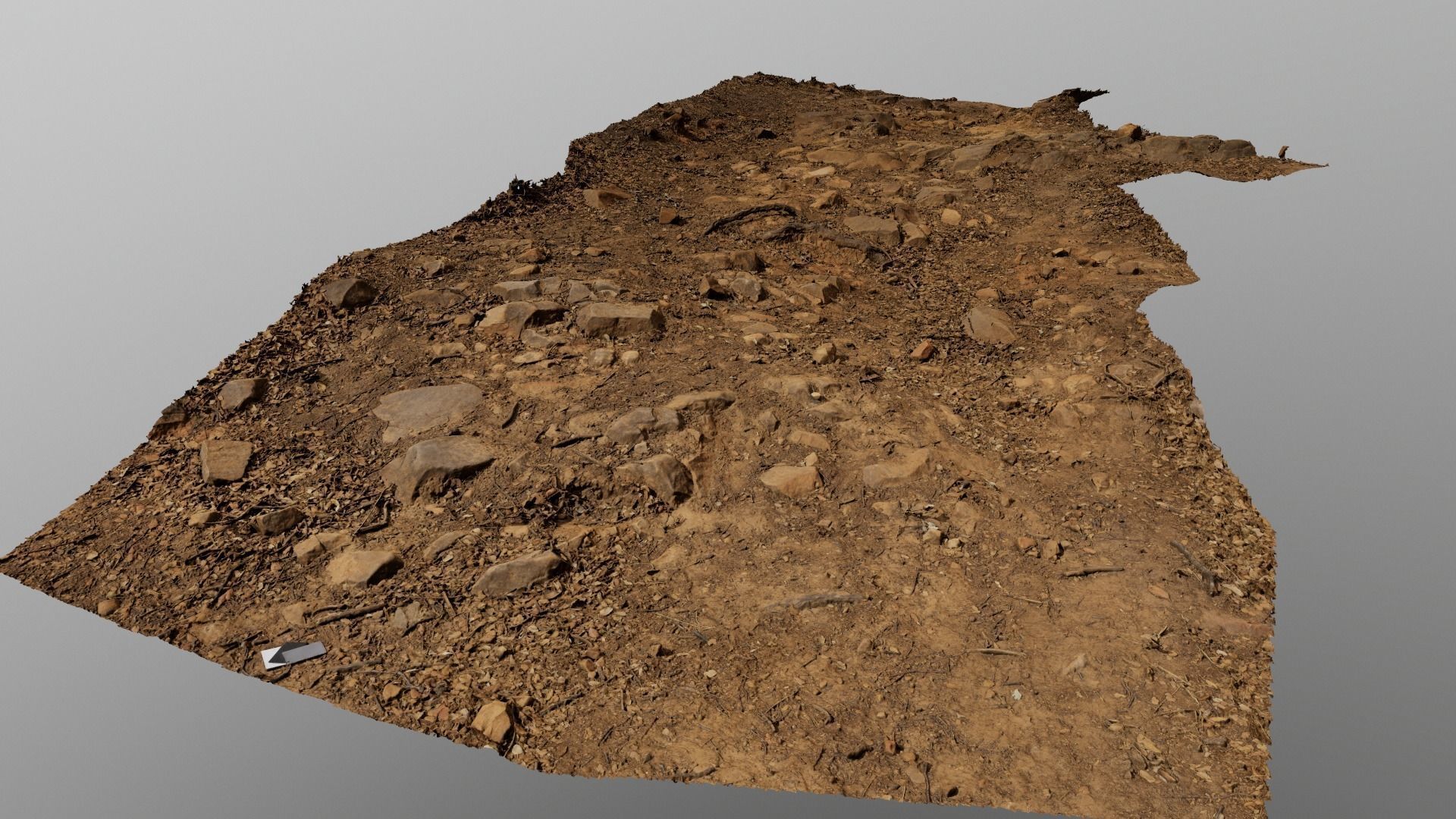 Forest Path 3D model_1