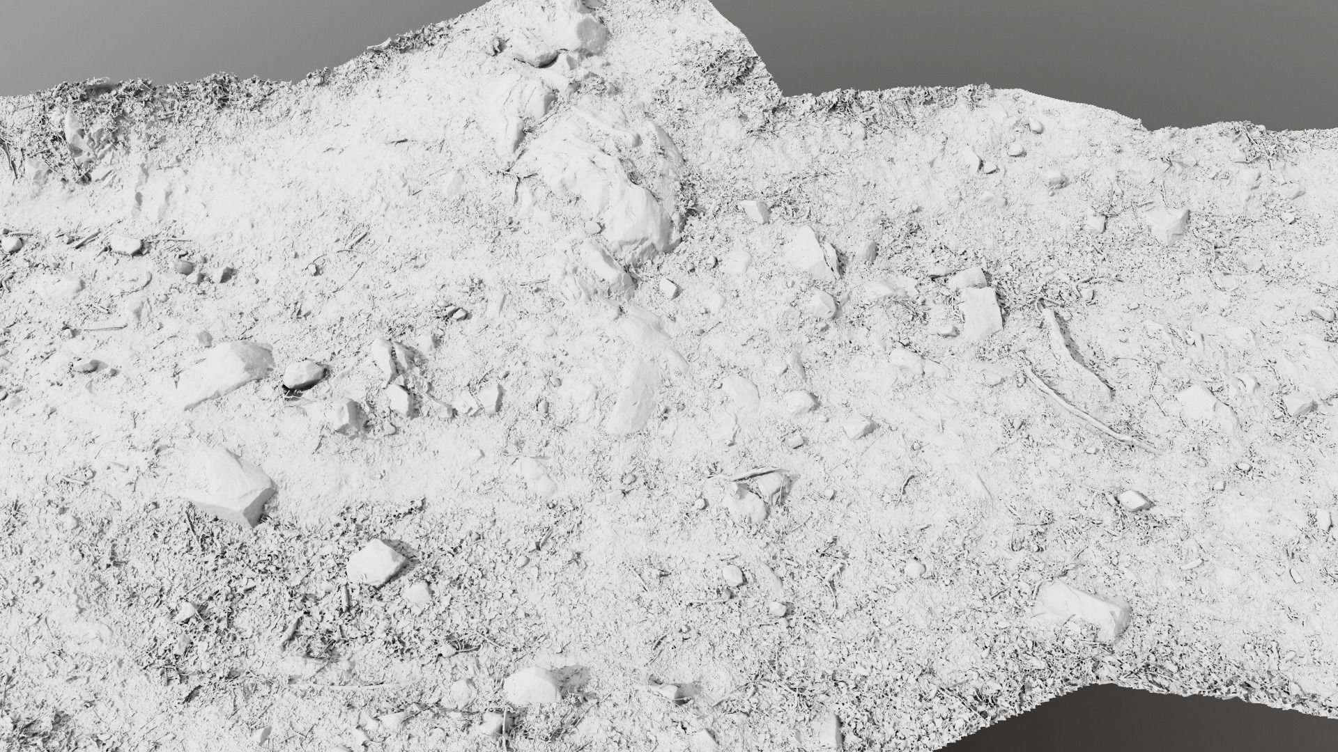 Forest Path 3D model_4