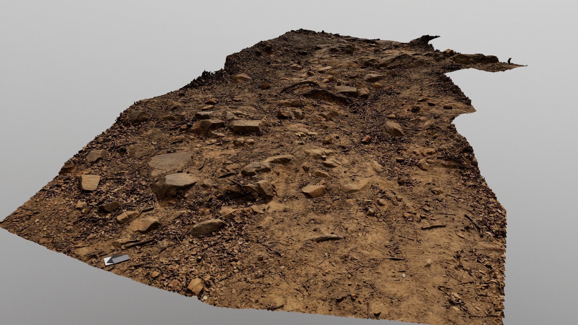 Forest Path 3D model_2