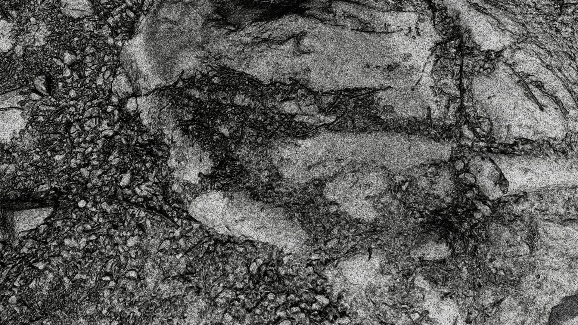 Forest Path 3D model_10