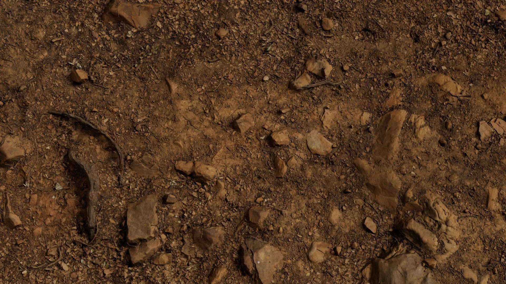 Forest Path 3D model_18