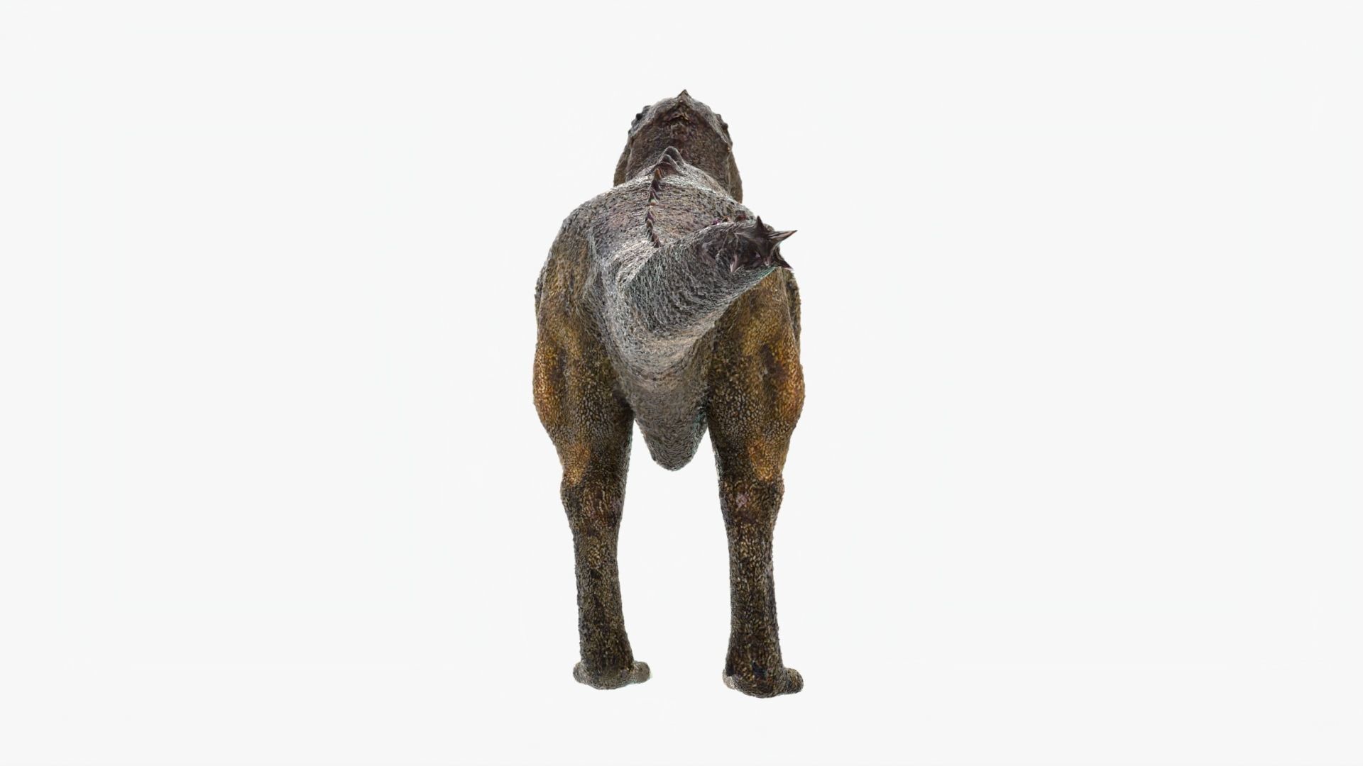 Tyrannosaurus Rex Low-poly 3D model_4