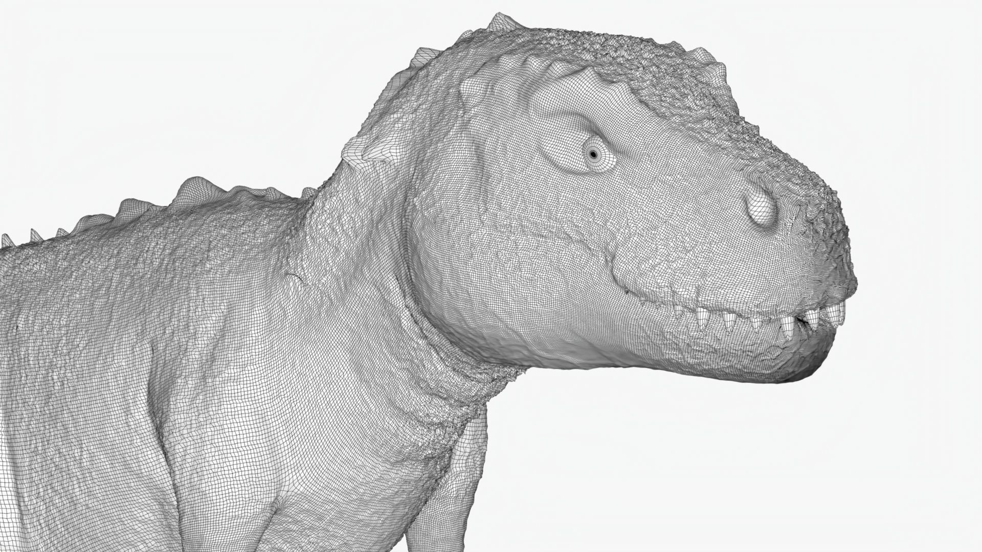 Tyrannosaurus Rex Low-poly 3D model_6