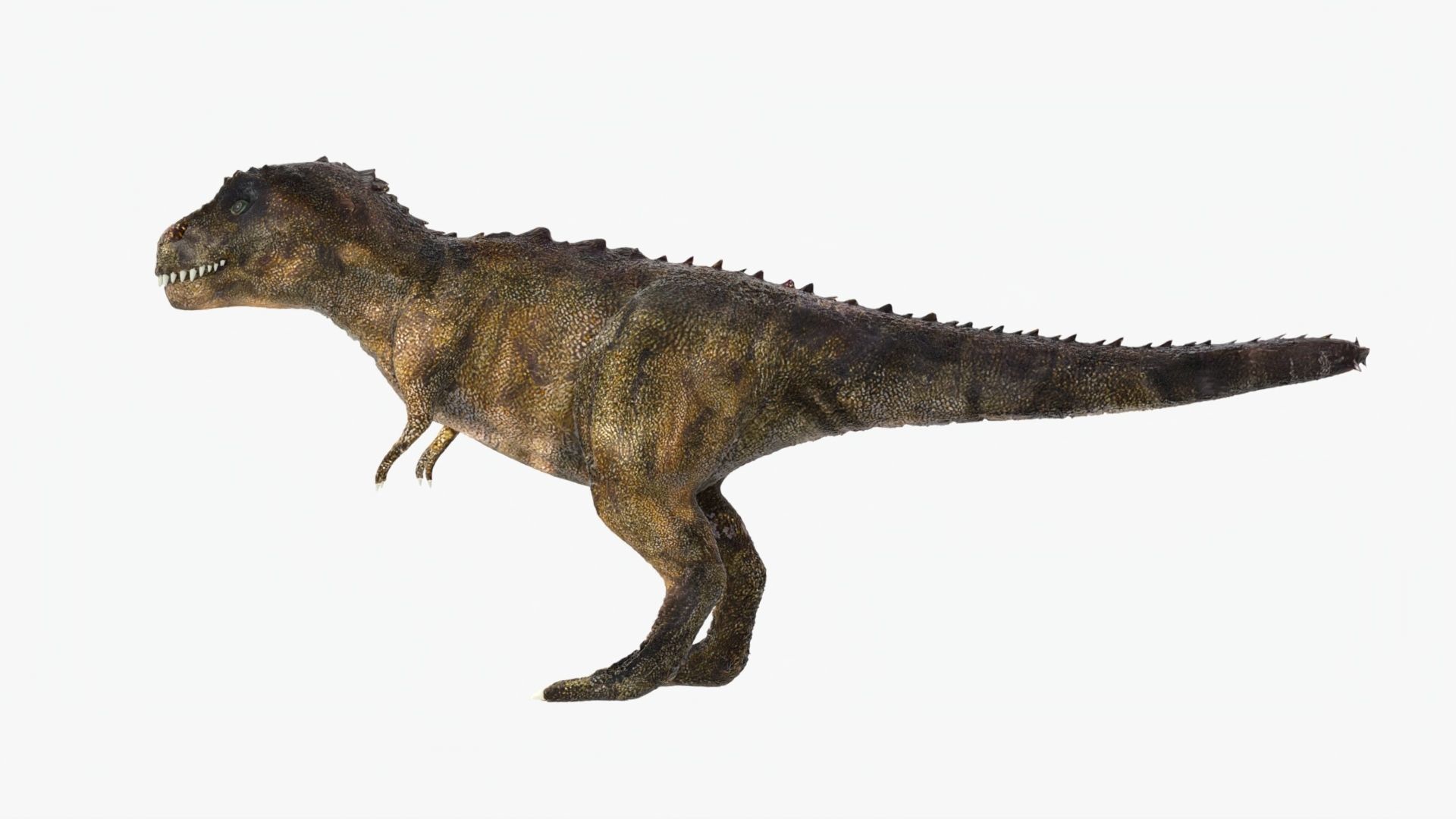 Tyrannosaurus Rex Low-poly 3D model_3