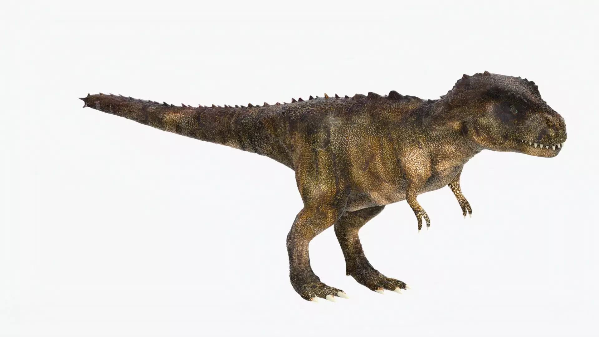 Tyrannosaurus Rex Low-poly 3D model_0