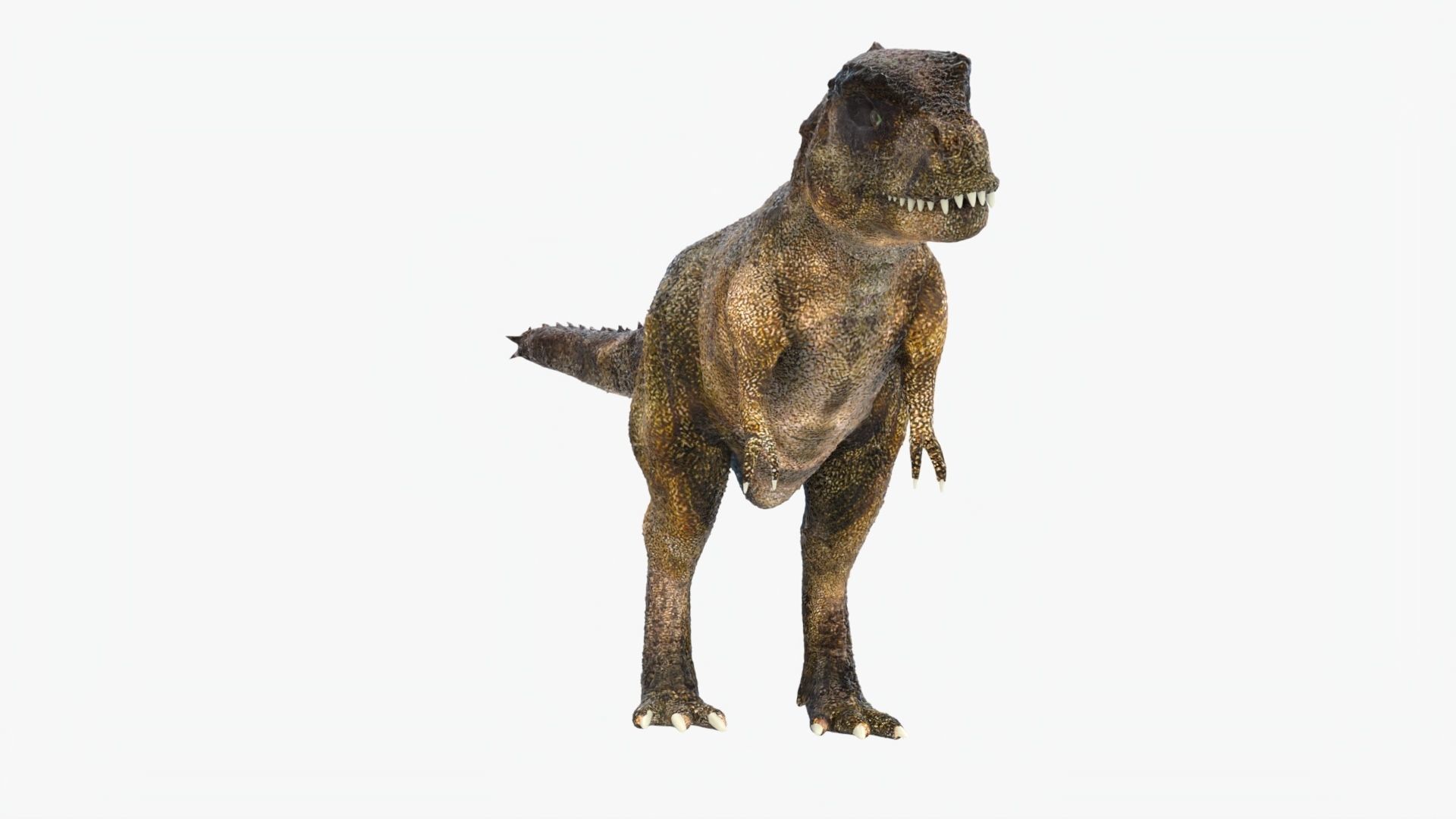 Tyrannosaurus Rex Low-poly 3D model_2