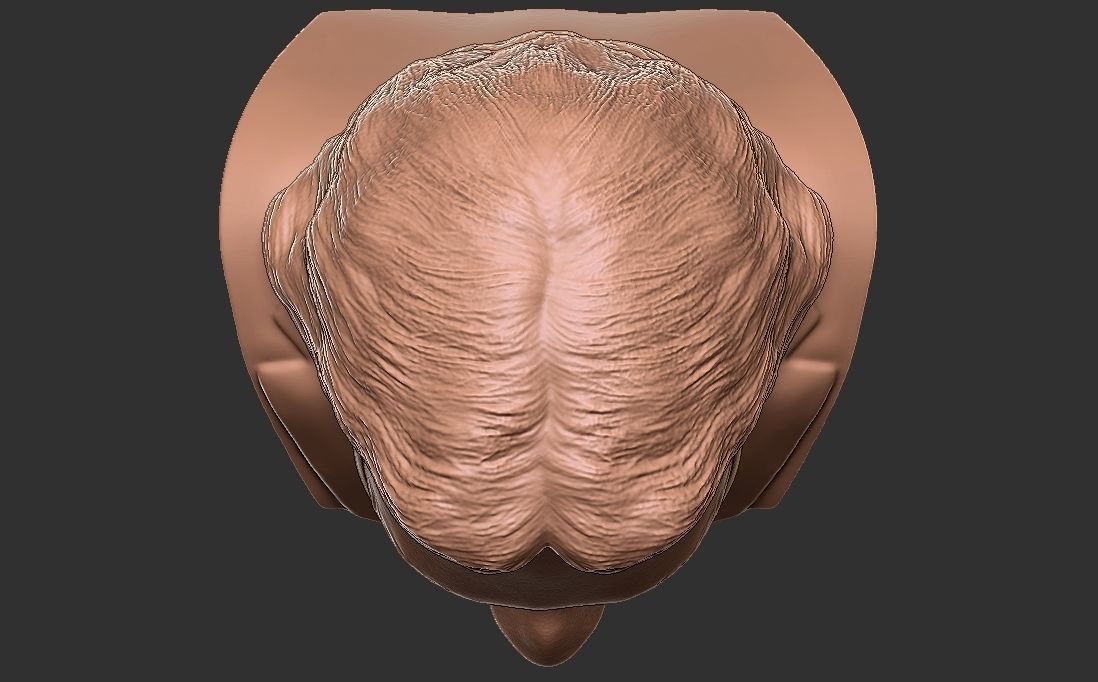 Andrea Bocelli bust for 3D printing 3D print model_22