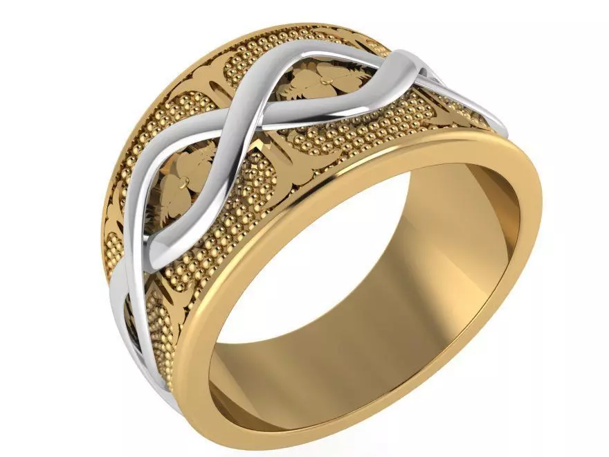 Perpetuity ring 2700 3D print model 3D print model_0