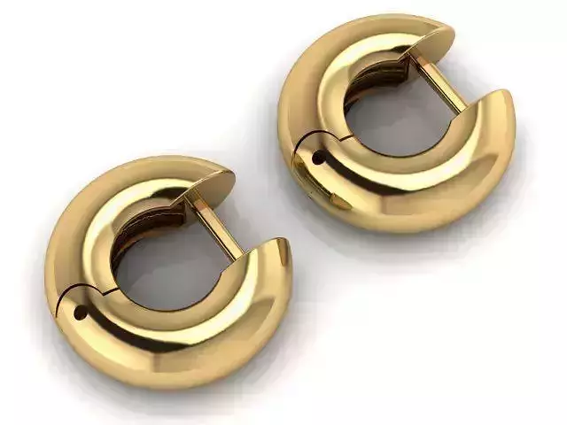 Fashion Earring