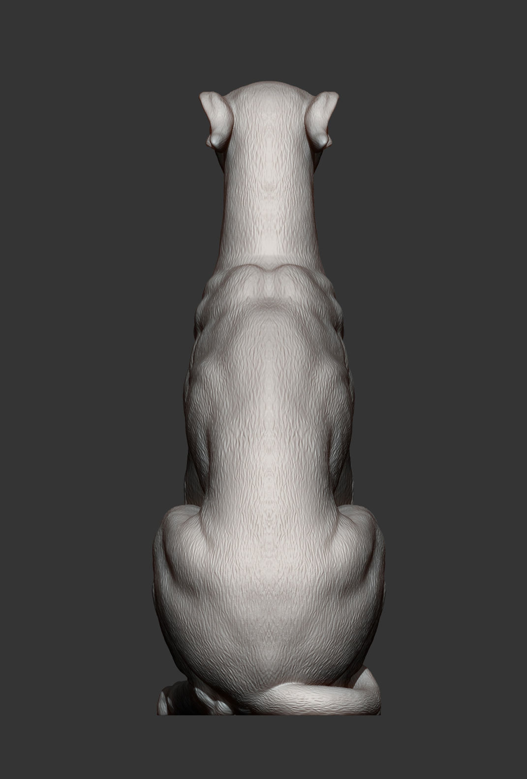 Greyhound sitting 3D print model_7