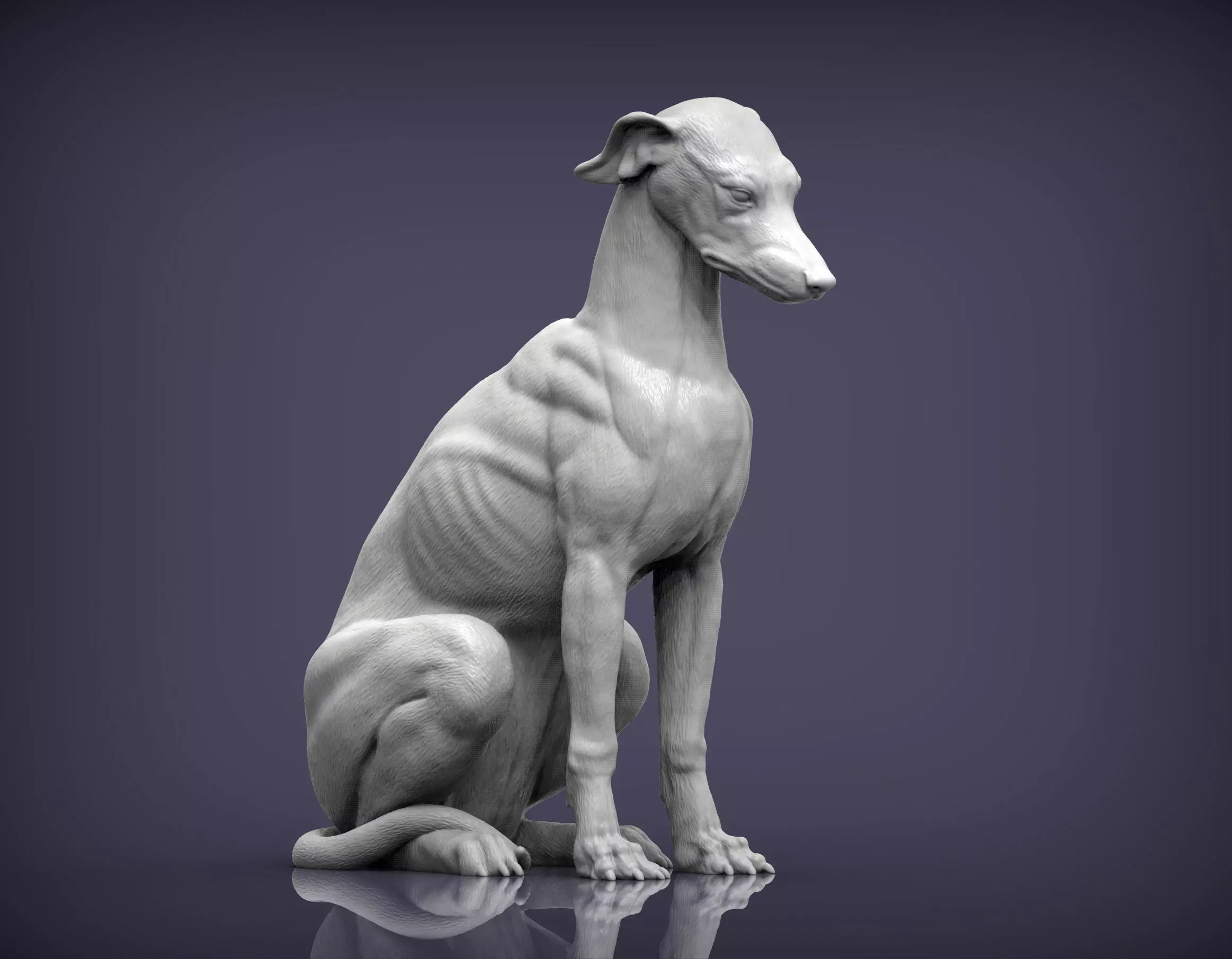 Greyhound sitting 3D print model_0