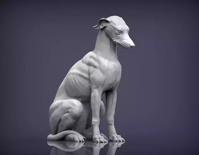 Greyhound sitting 3D print model