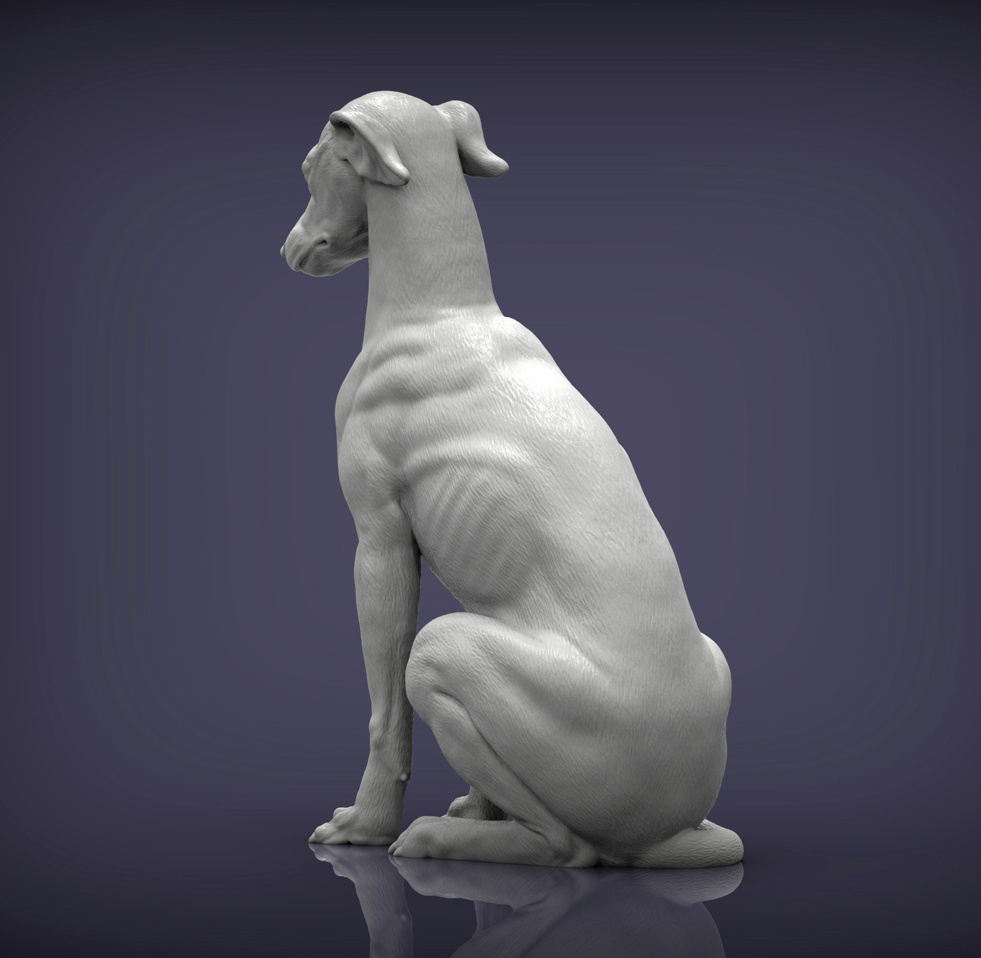 Greyhound sitting 3D print model_4