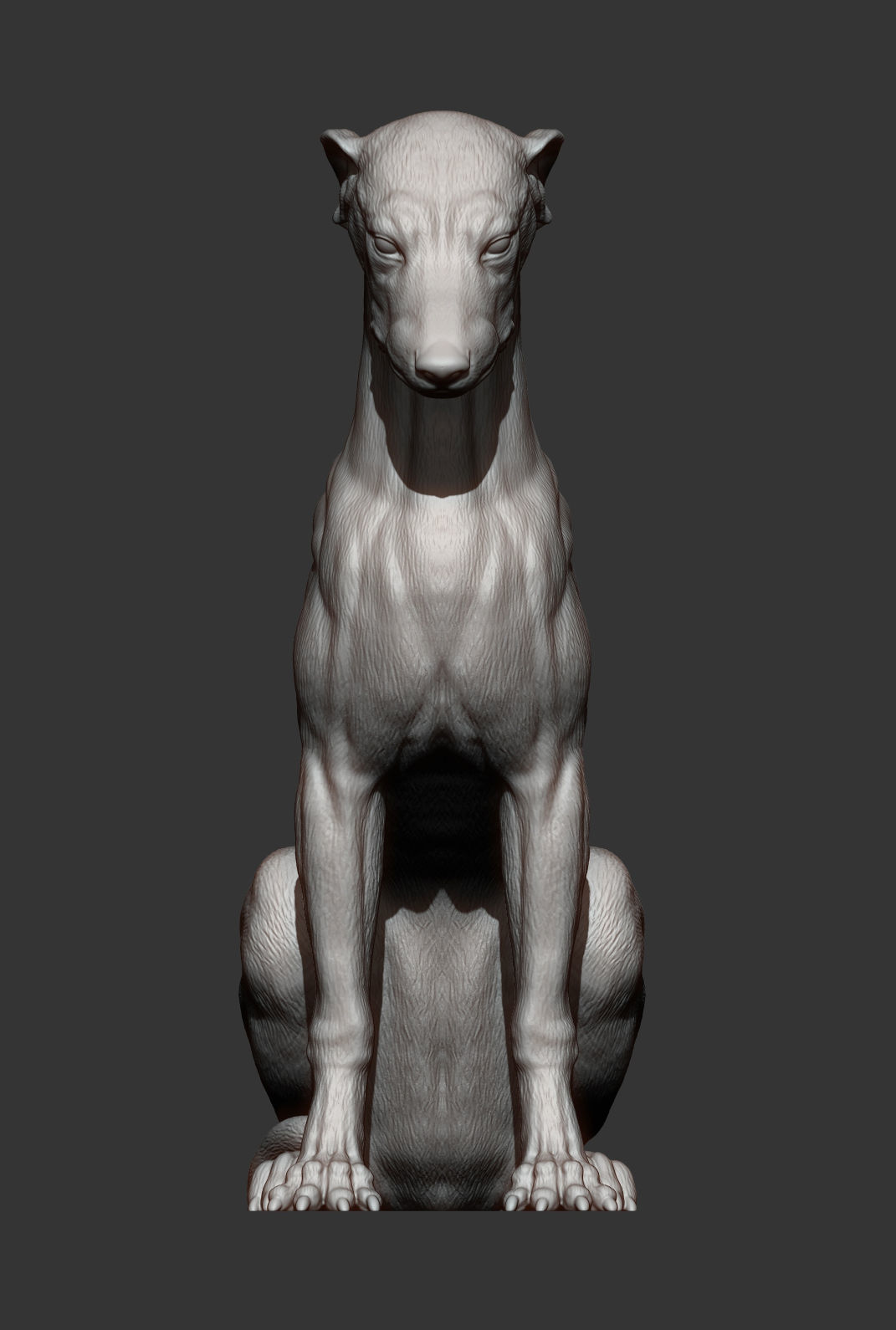 Greyhound sitting 3D print model_12