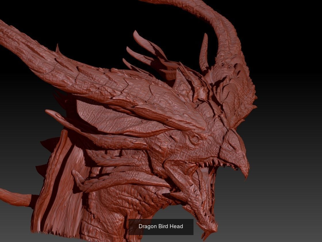 Dragon Collection 1 _15